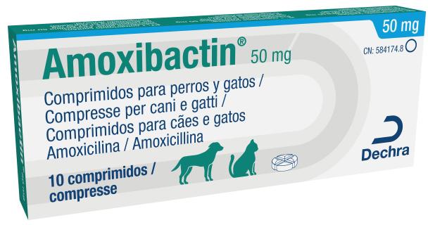 AMOXIBACTIN® (Amoxicilina)