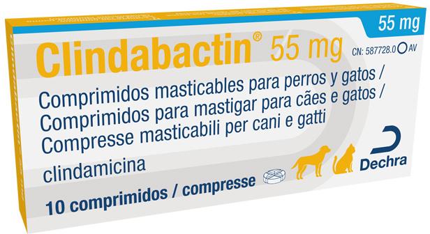 CLINDABACTIN® (Clindamicina)