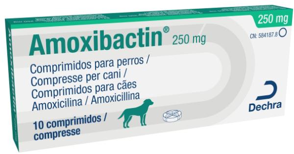 Amoxibactin 250 mg comprimidos para perros