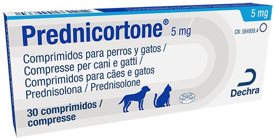 Prednicortone 5 mg comprimidos para perros y gatos