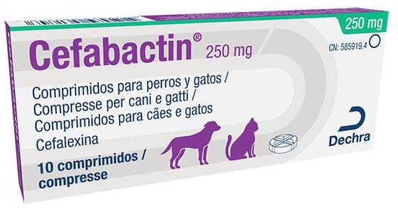 Cefabactin 250 mg comprimidos para perros y gatos