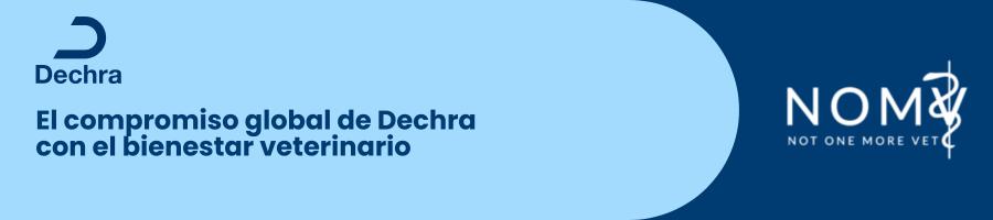 El compromiso global de Dechra con el bienestar veterinario