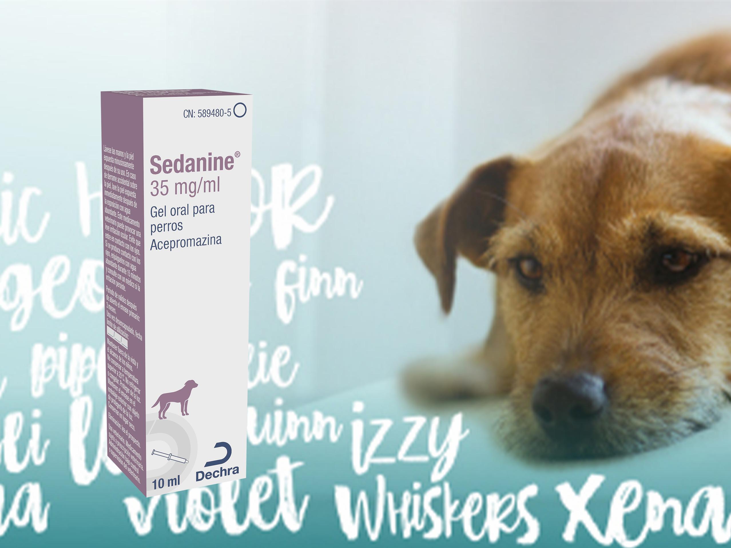 Sedanine es un gel oral de acepromazina indicado para la sedación y preanestesia y el control de los vómitos asociados al mareo en perros.