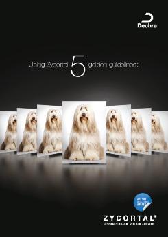 5 Golden Guidelines