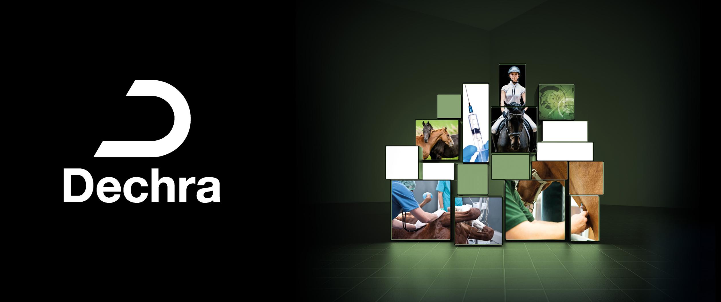 Relanzamos nuestra App de anestesia para caballos