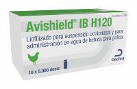 Avishield IB H120, liofilizado para suspensión oculonasal y para administración en agua de bebida para pollos