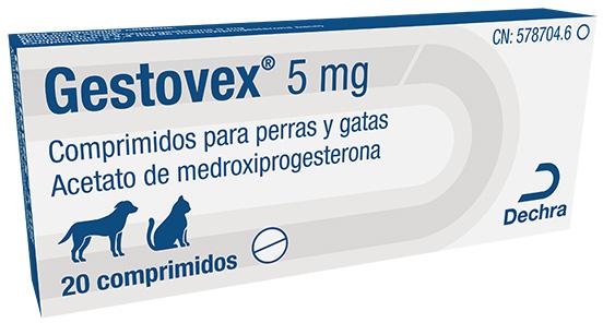 Gestovex está de vuelta