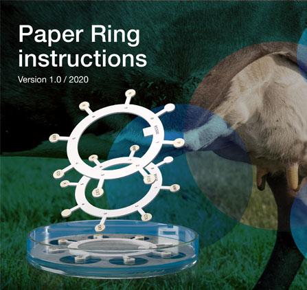 Instrucciones Paper Ring