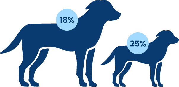 Are high protein diets right for dogs