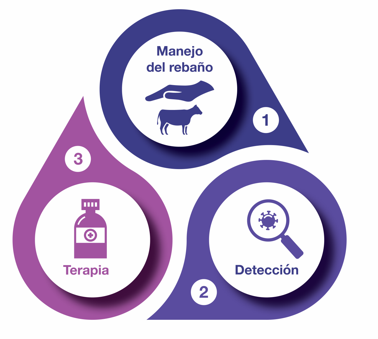 Medicina interna en el ganado vacuna - Planteamiento integrado de Dechra