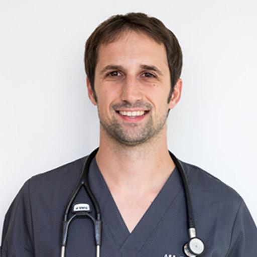 Webinar sobre Abordaje a las enteropatías crónicas en el perro: ¿Qué hay de nuevo?