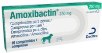 Amoxibactin 250 mg comprimidos para perros