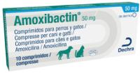 Amoxibactin 50 mg comprimidos para perros y gatos