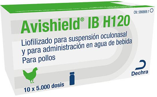 Avishield IB H120, liofilizado para suspensión oculonasal y para administración en agua de bebida para pollos