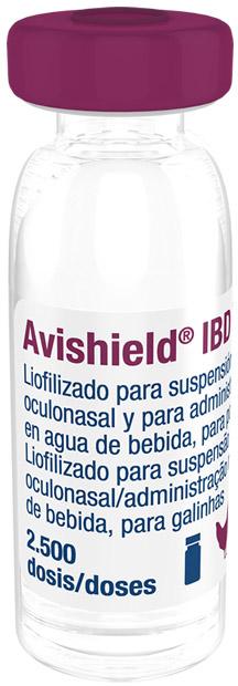 Avishield IBD INT liofilizado para suspensión oculonasal y para administración en agua de be-bida para pollos