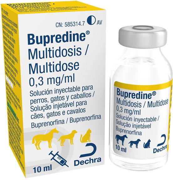 Bupredine 0,3 mg/ml solución inyectable para perros, gatos y caballos