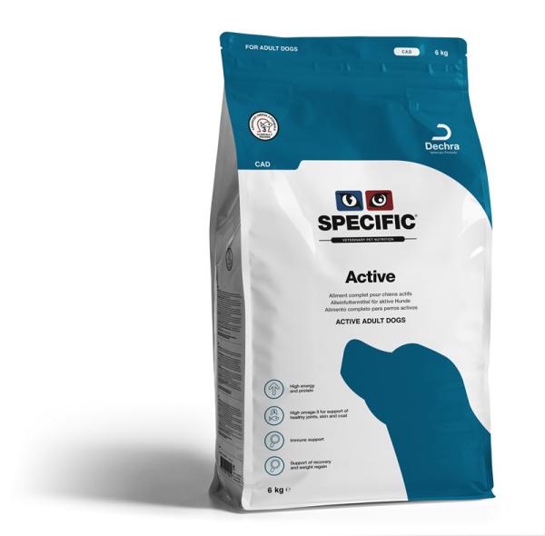 Active CAD