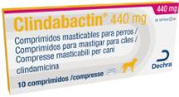 Clindabactin 440 mg para perros