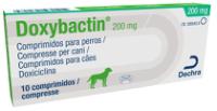 Doxybactin 200 mg comprimidos para perros