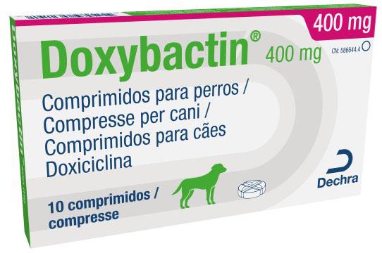 Doxybactin 400 mg comprimidos para perros