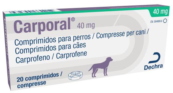 Carporal 40 mg comprimidos para perros