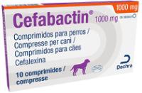 Cefabactin 1000 mg comprimidos para perros