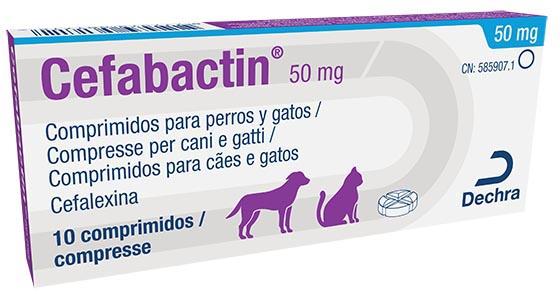 Cefabactin 50 mg comprimidos para perros y gatos